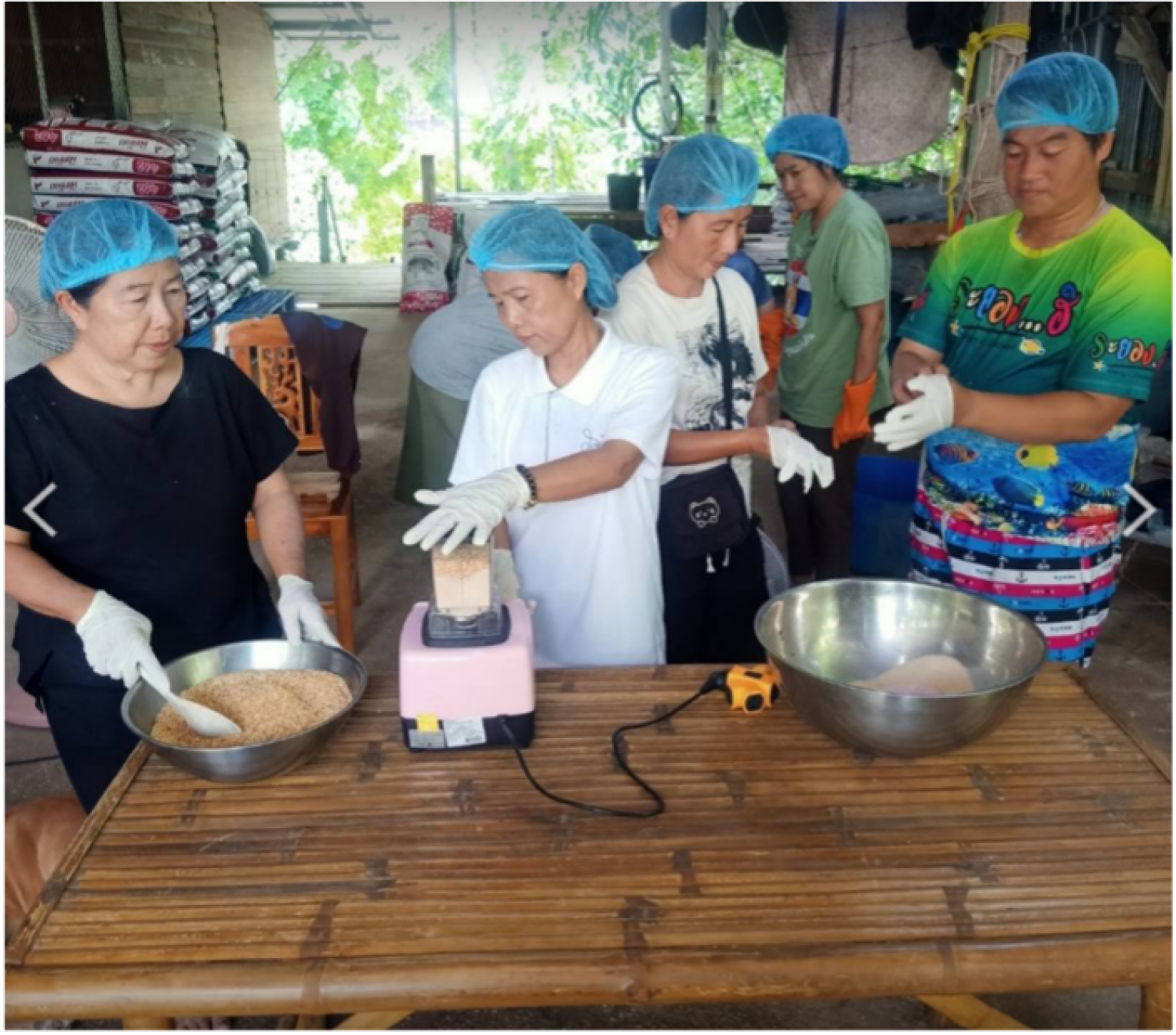 เทคโนโลยีผลิตผงโรยข้าวจากเห็ดโซเดียมต่ำ