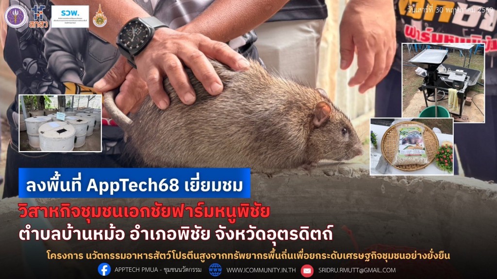 ยกระดับฟาร์มหนูพุกด้วยนวัตกรรมอาหารสัตว์โปรตีนสูงจากทรัพยากรท้องถิ่น