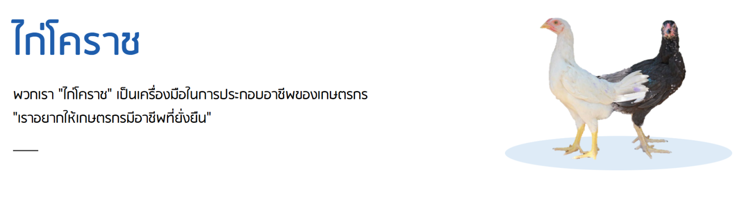 Center banner 1