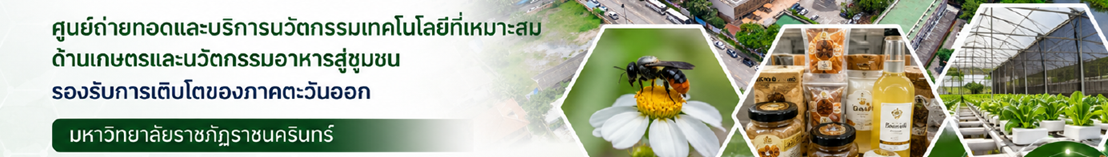 Center banner 1