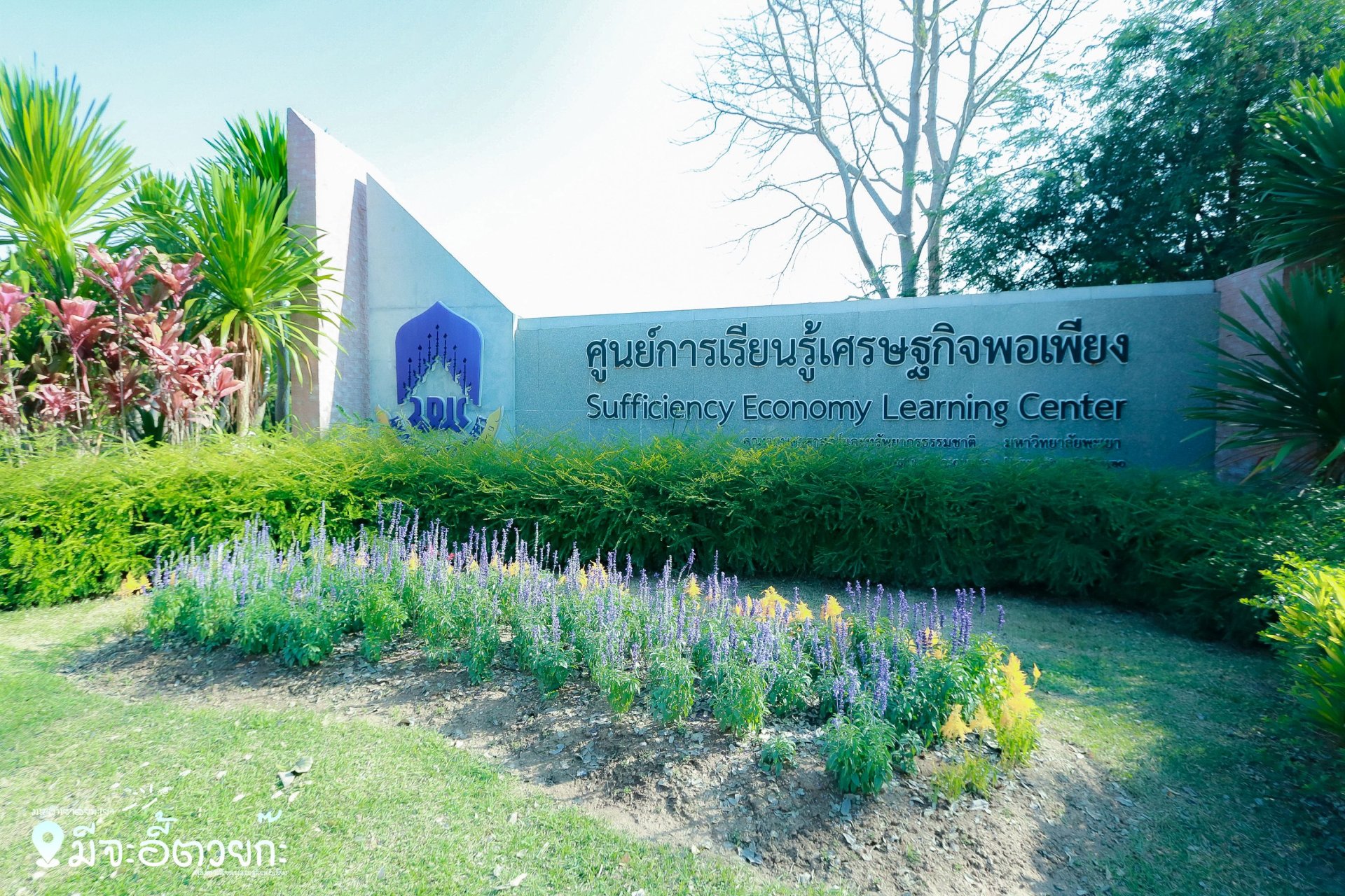 ศูนย์ถ่ายทอดเทคโนโลยีและนวัตกรรมการเกษตรและปศุสัตว์ มหาวิทยาลัยพะเยา